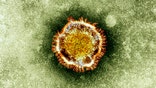 Tunisia's Health Ministry says a -year-old man has died after being infected by the new coronavirus following a visit to Saudi Arabia.